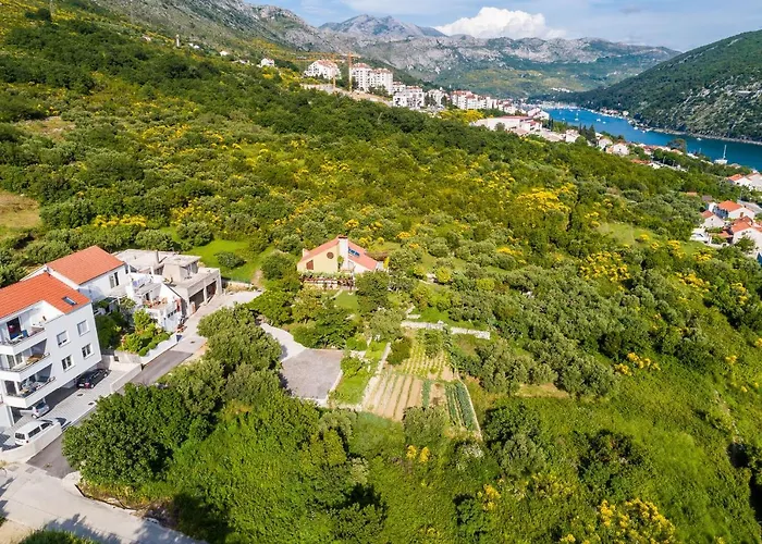 Apartament Freedom *